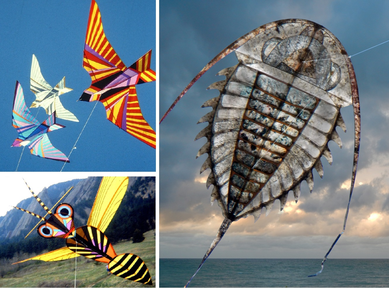 George Leters ‘KitesUp!’ with George Peters – Michael K. Sherman